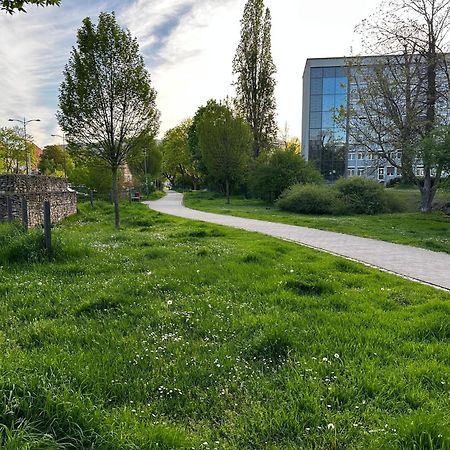 Speyerbach - Modernes Apartment Nahe Neustadter Innenstadt Neustadt an der Weinstraße Buitenkant foto
