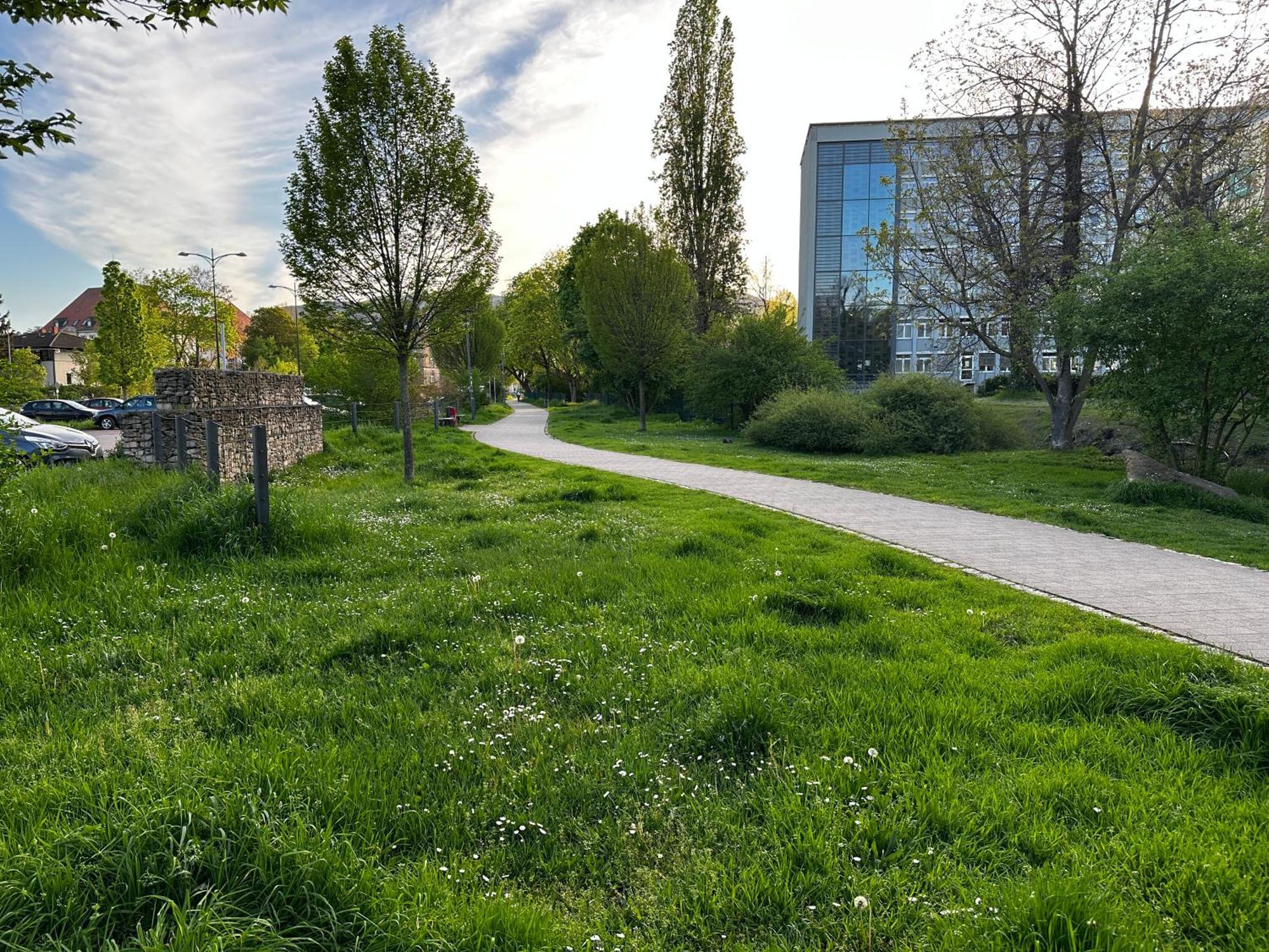 Speyerbach - Modernes Apartment Nahe Neustadter Innenstadt Neustadt an der Weinstraße Buitenkant foto